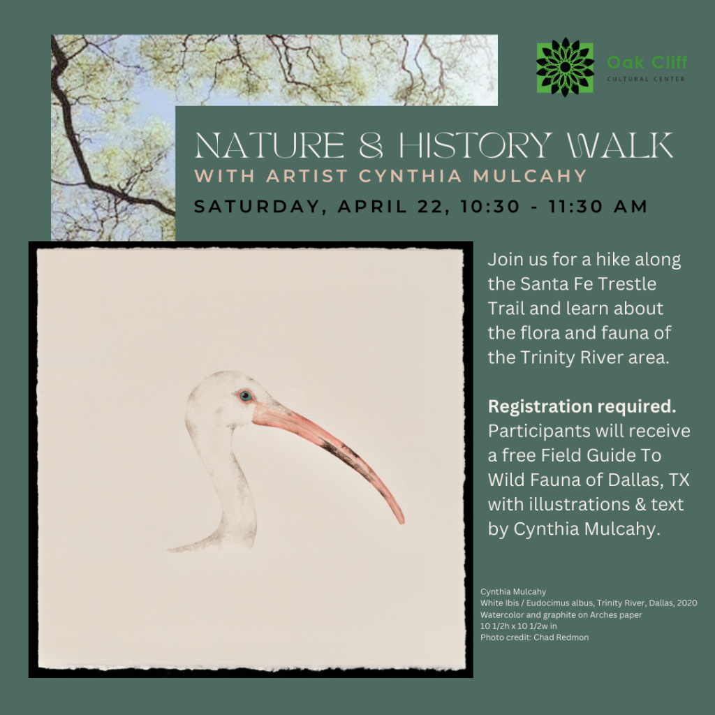 NATURE AND HISTORY WALK