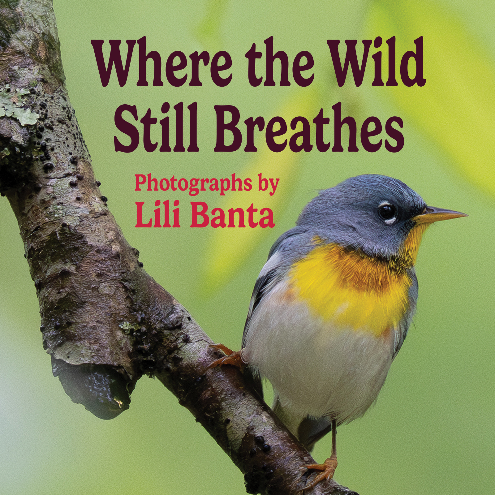Where the Wild Still Breathes: Photographs by Lili Banta